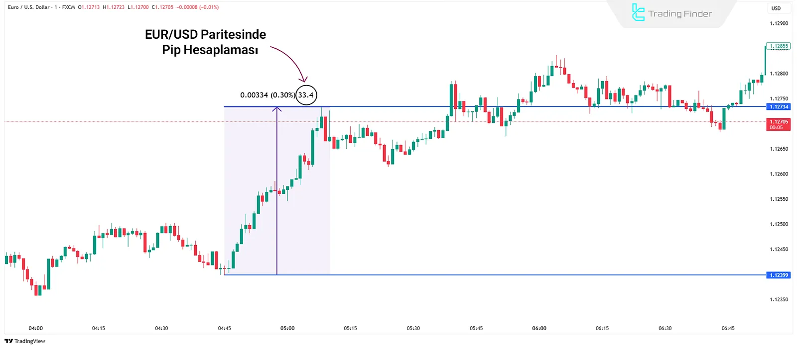 Forex'te pip hesaplama