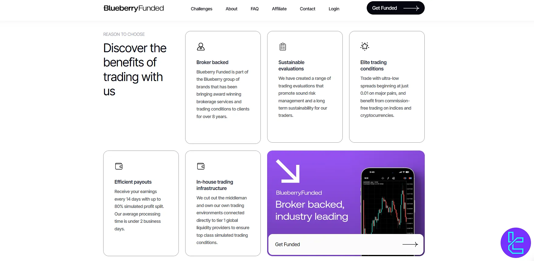 Blueberry Funded artıları