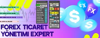tradingfinder forex işlem yönetim uzmanı