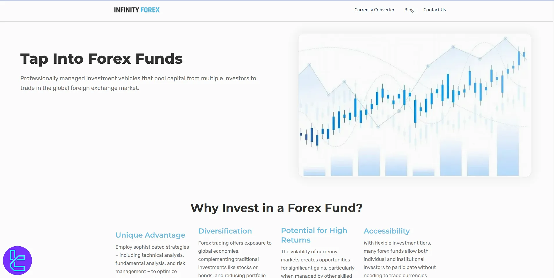 Infinity Forex Fund web sitesi