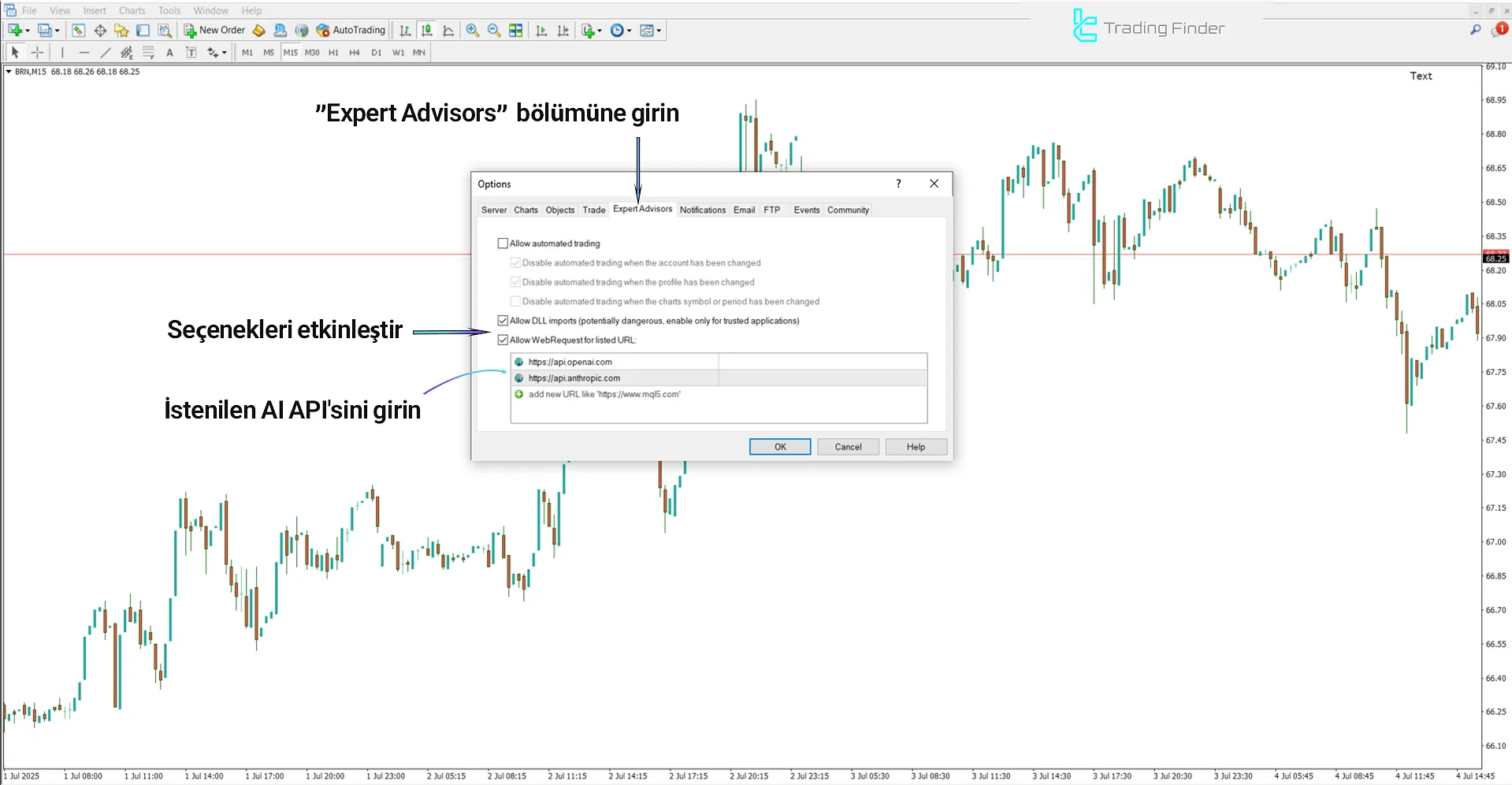 AI Trading Connection için WebRequest etkinleştirme adımları