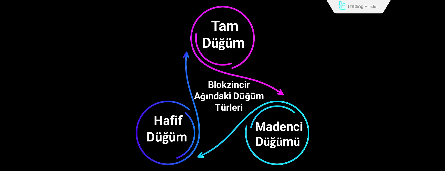 Types of Blockchain Nodes