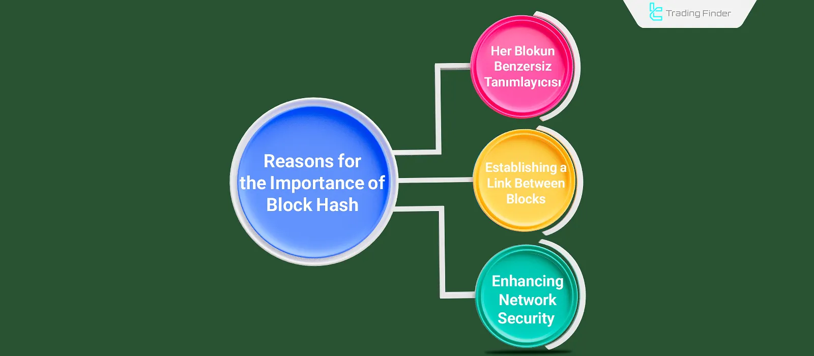 Reasons for Block Hash Importance