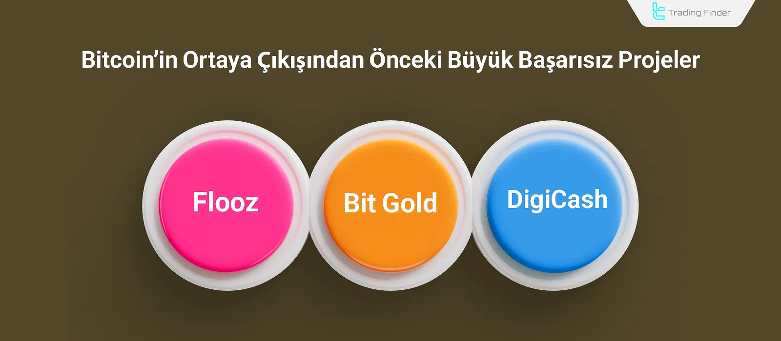 Major Failed Projects Before Bitcoin