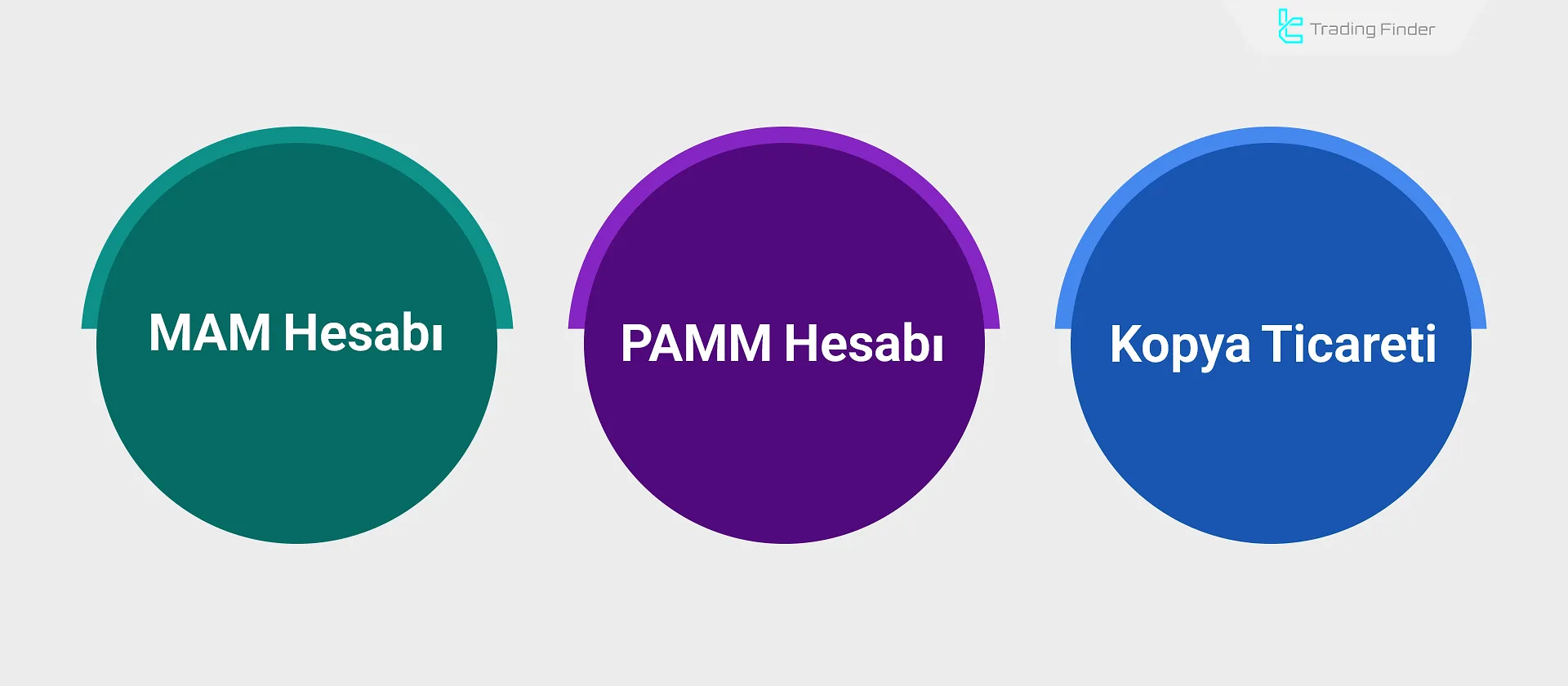 PAMM’in Diğer Sosyal Yatırım Yöntemleriyle Karşılaştırılması