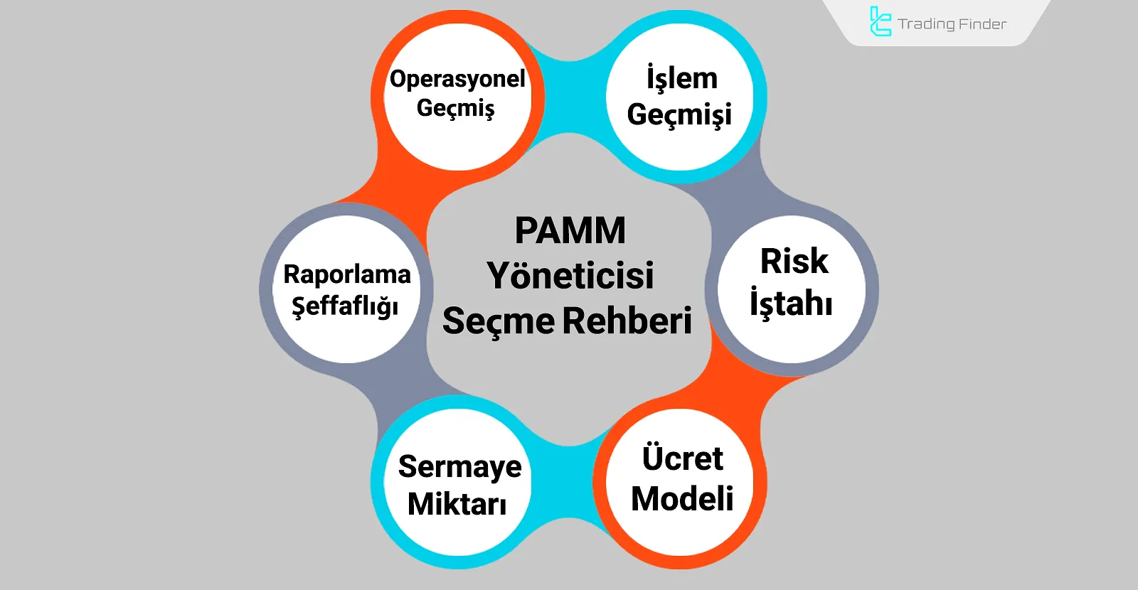 PAMM Yöneticisi Seçimi