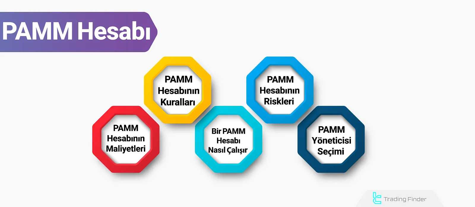 PAMM Hesabı Nedir? PAMM Hesaplarında Yönetim ve Yatırım Rehberi