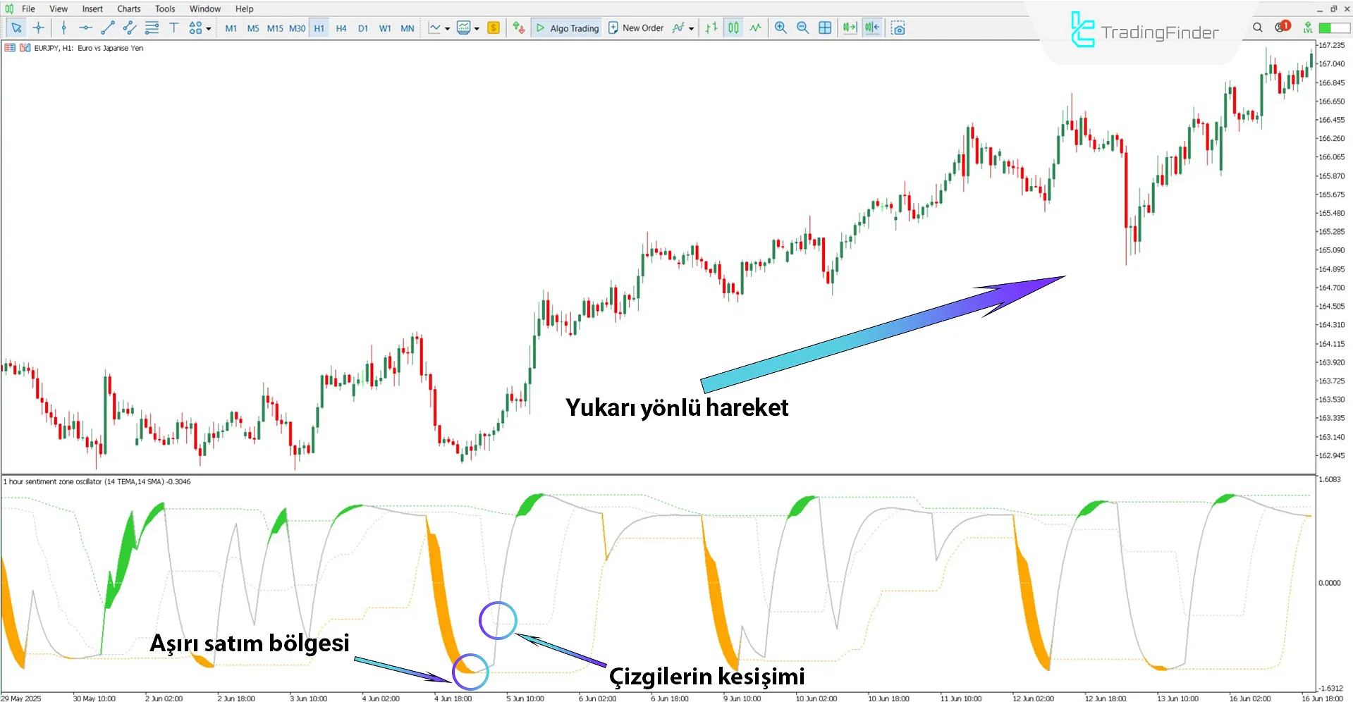 Sentiment Ratio Osilatörü ile yükseliş trendi analizi