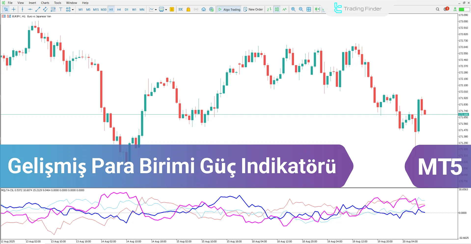 Gelişmiş Para Birimi Güç Göstergesi MT5 – Ücretsiz İndirme [TradingFinder]