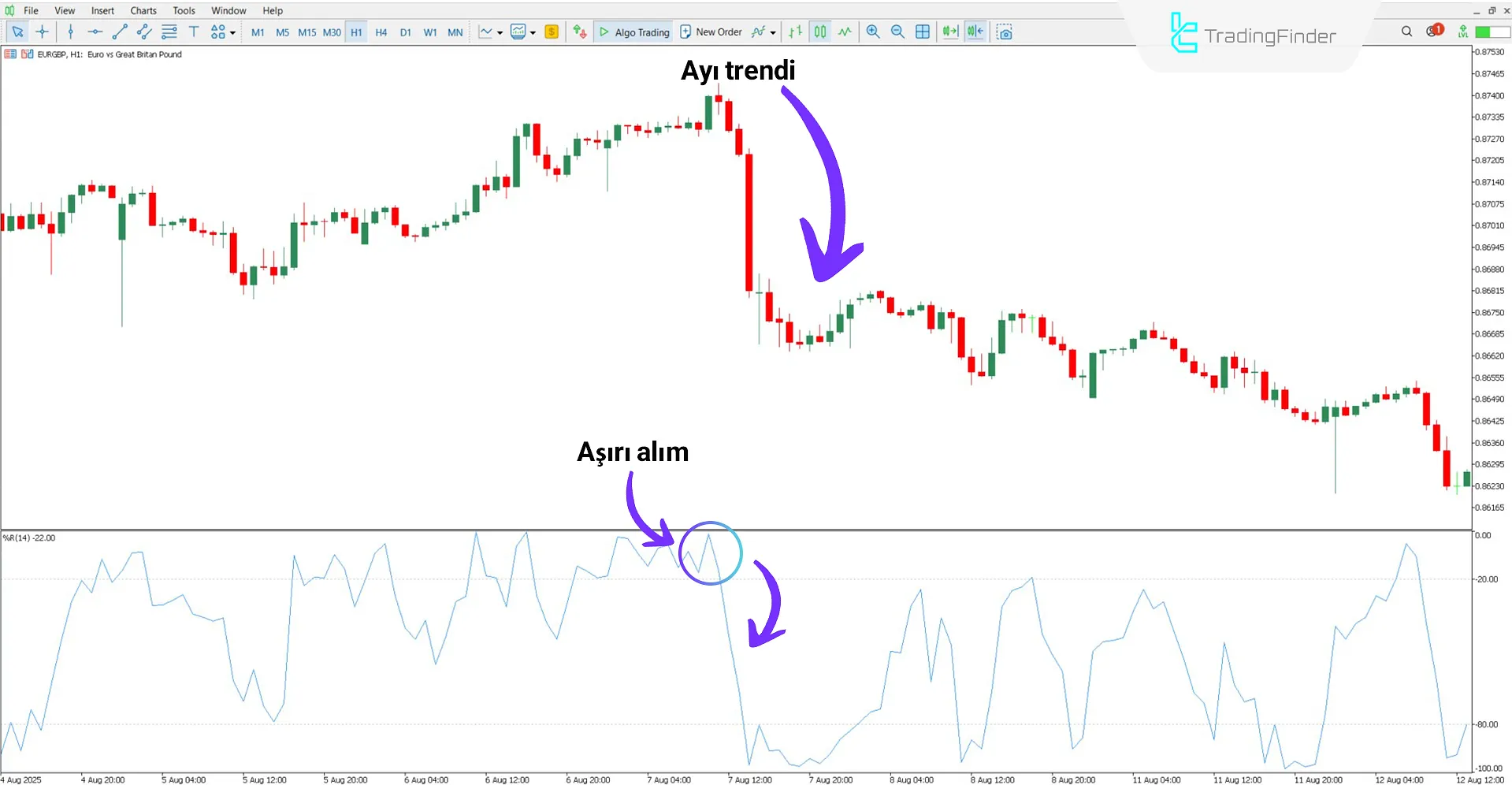 Williams Percent Range Uyarı Göstergesi ile Düşüş Trend Analizi