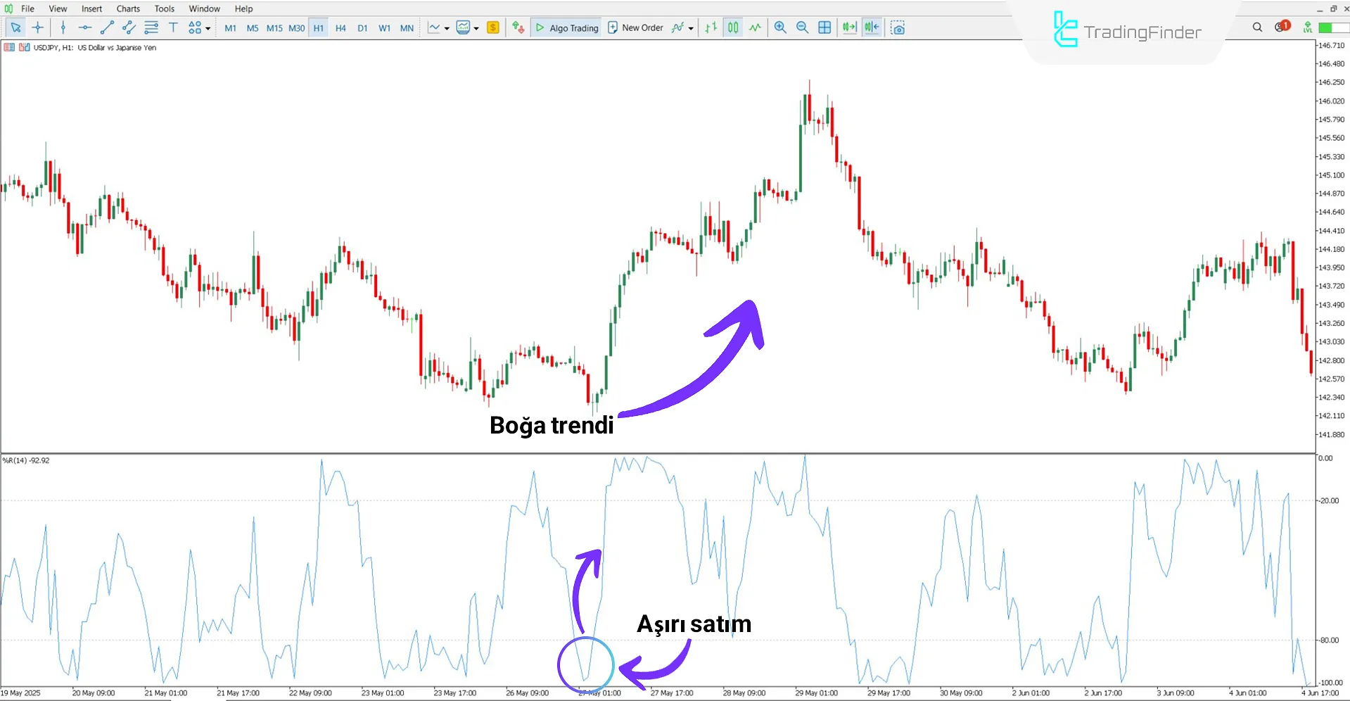 Uyarılı WPR Osilatörü ile Yükseliş Trend Analizi