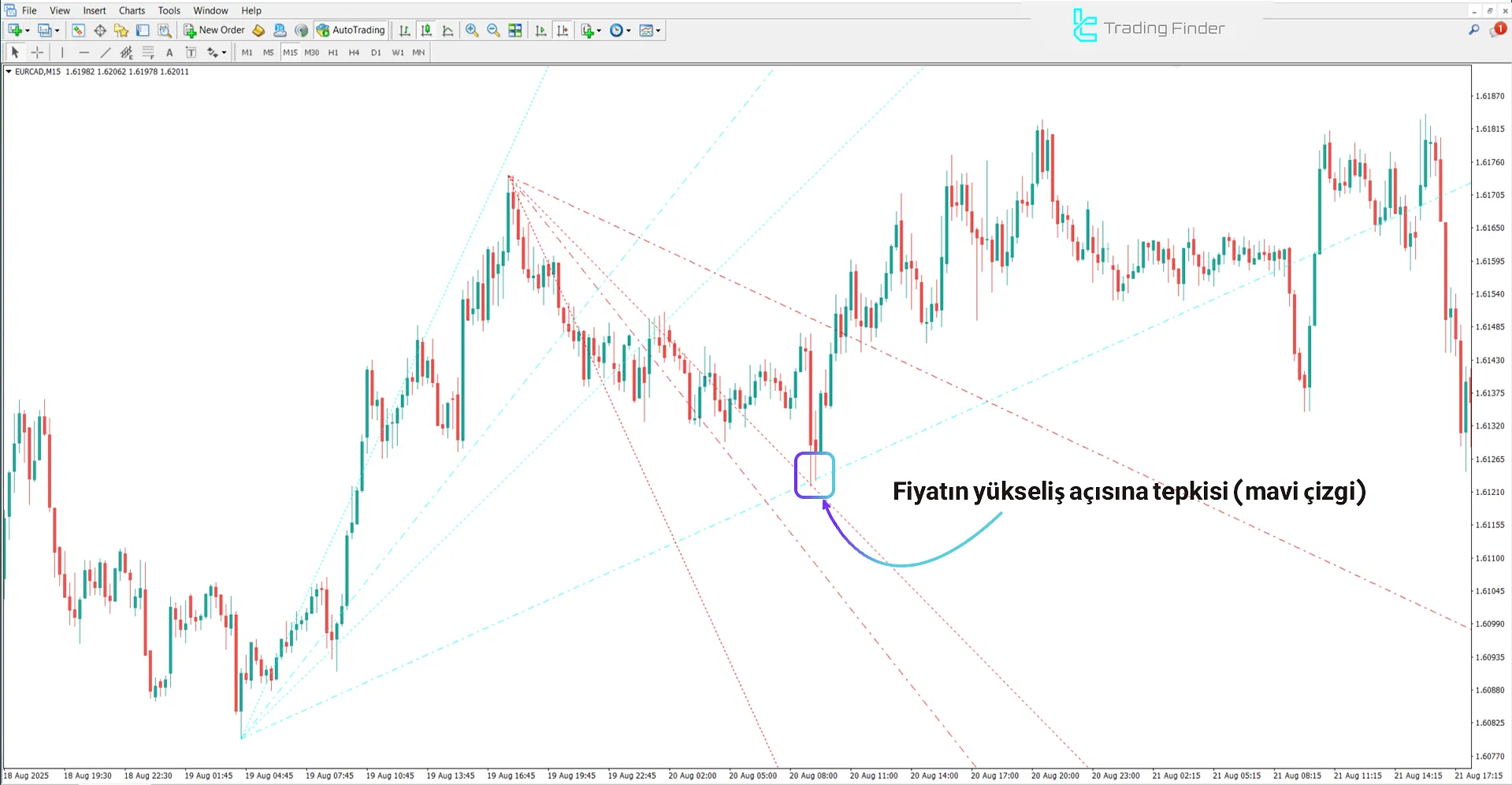 Trend by Angle Göstergesindeki yükseliş trendi analizi