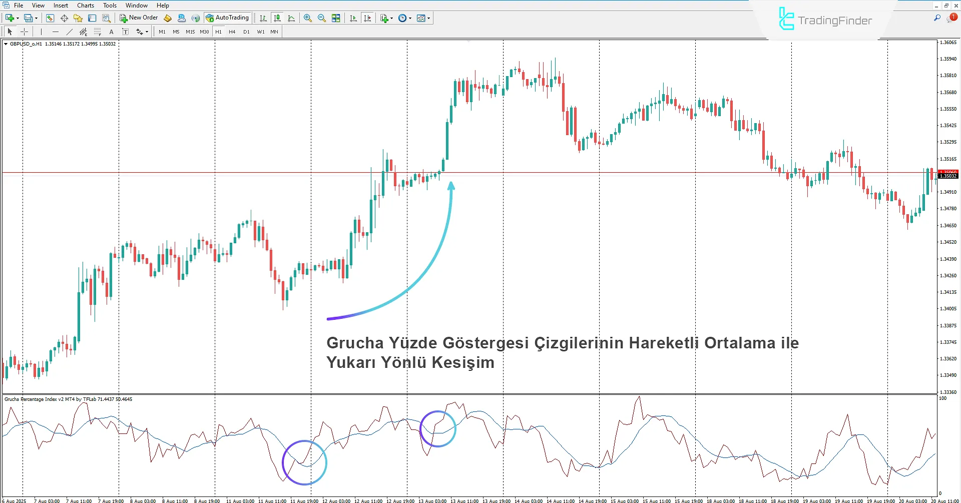 Grucha Yüzde Endeksi Göstergesi İndir MetaTrader 4'te 1