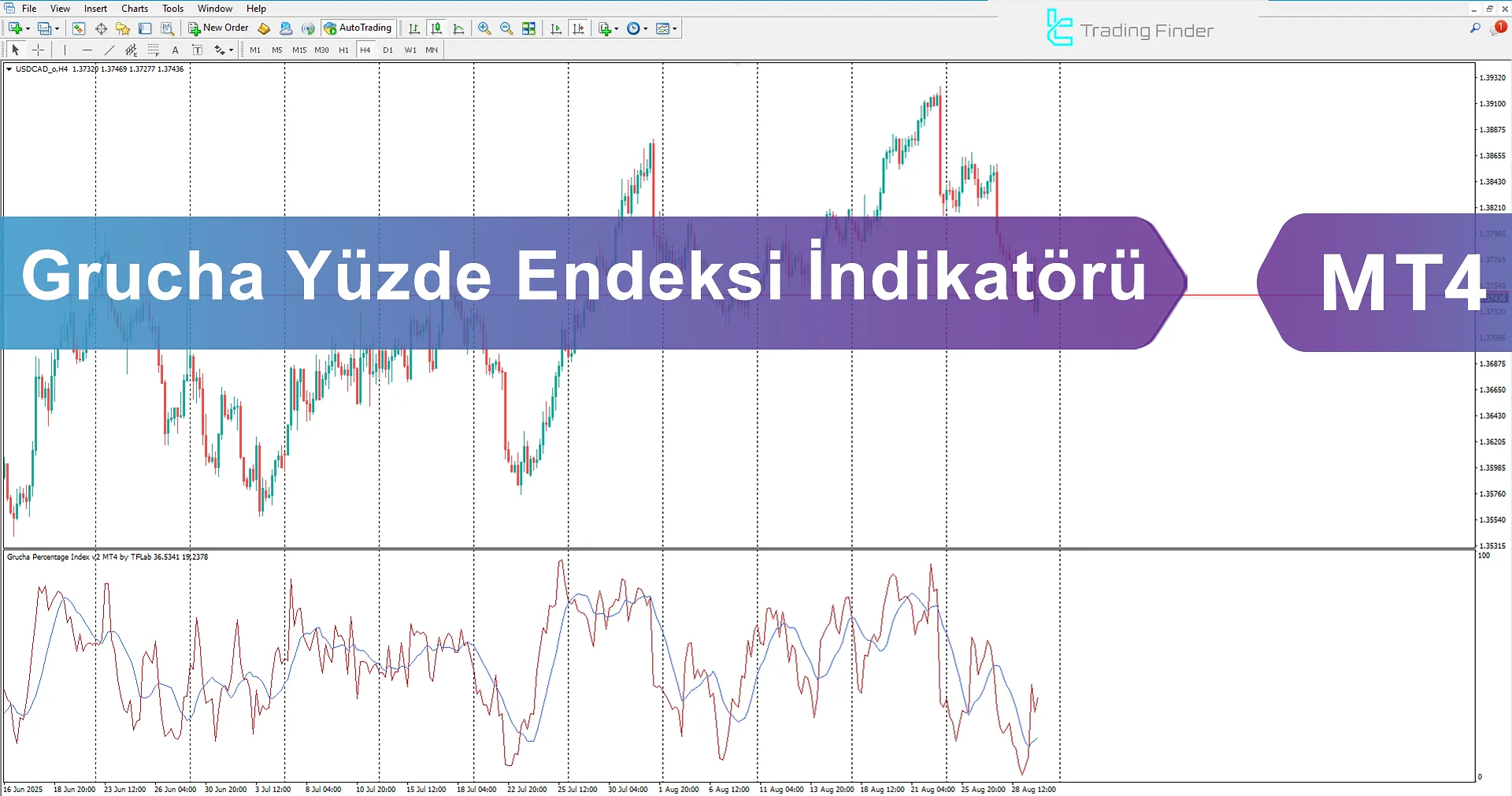 Grucha Yüzde Endeksi Göstergesi İndir MetaTrader 4'te