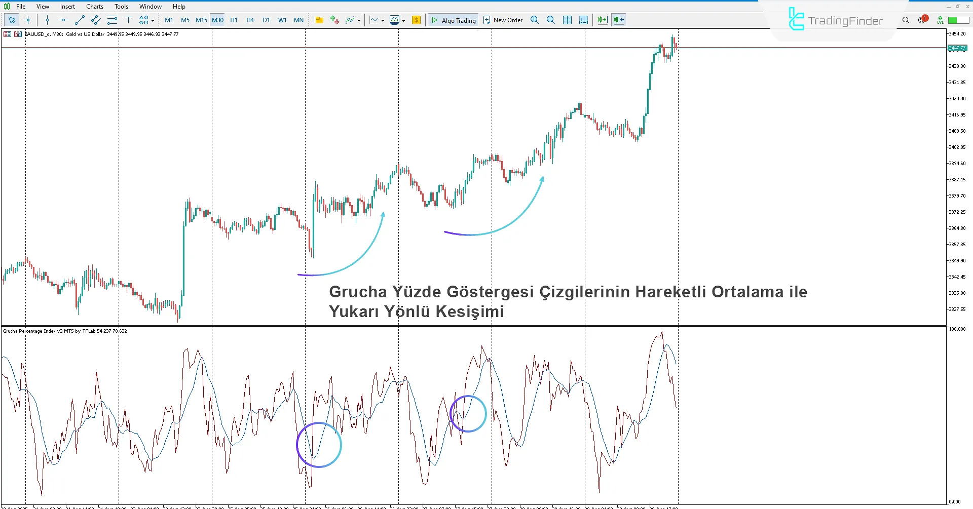 Grucha Yüzde Endeksi Göstergesi İndir MetaTrader 5'te 1