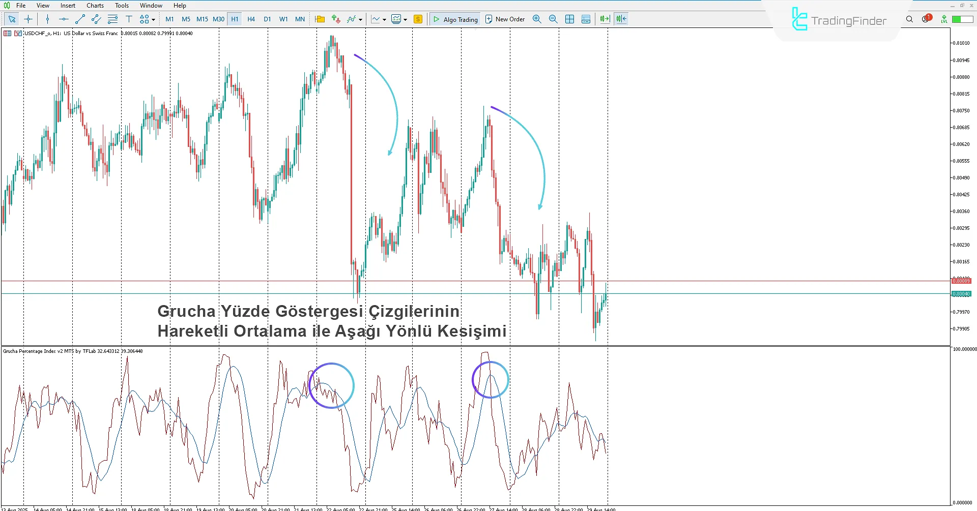 Grucha Yüzde Endeksi Göstergesi İndir MetaTrader 5'te 2