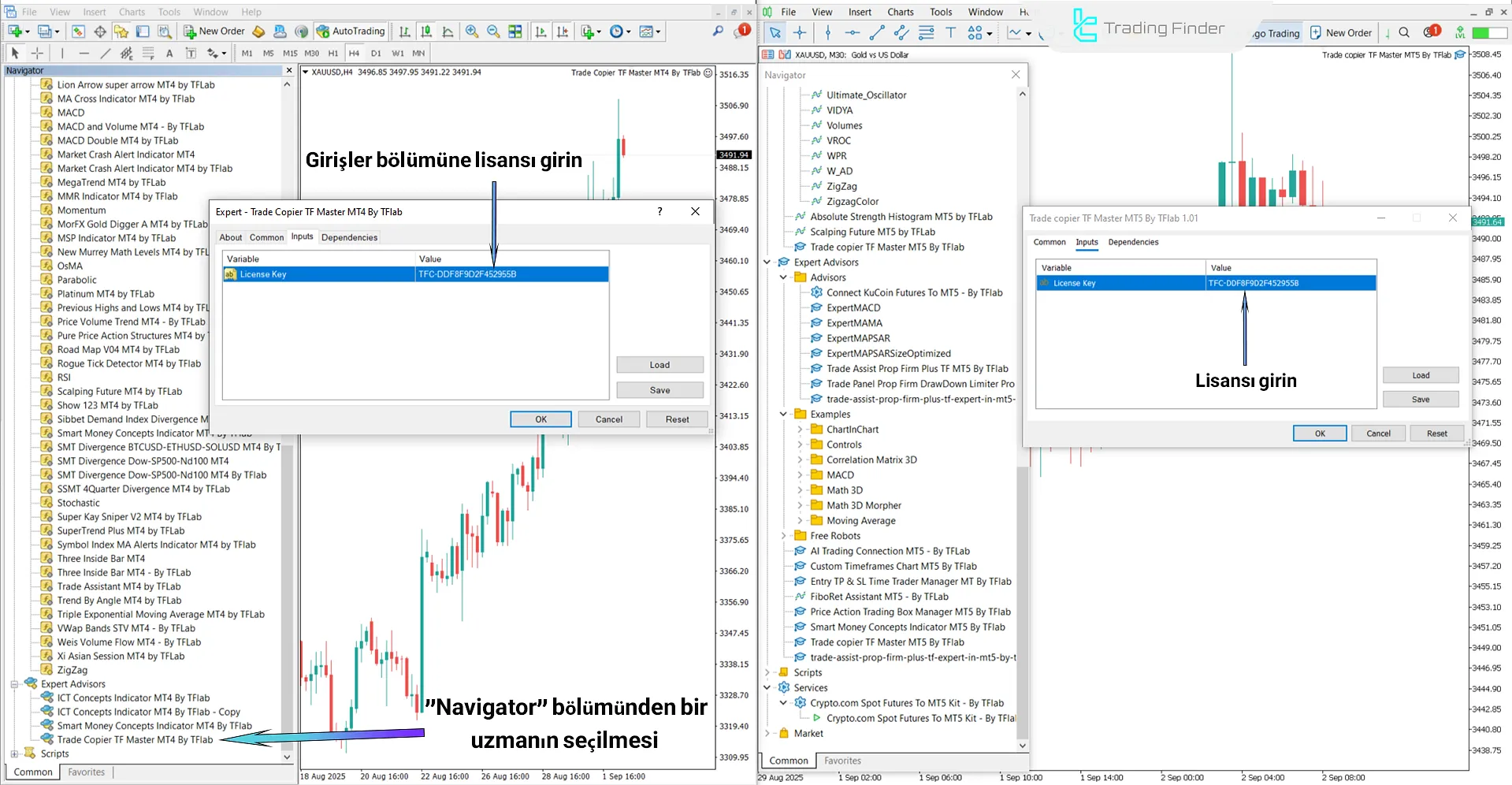 Trade Copier TF Master Expert Advisor görünümü (Trade Copier TF Master)
