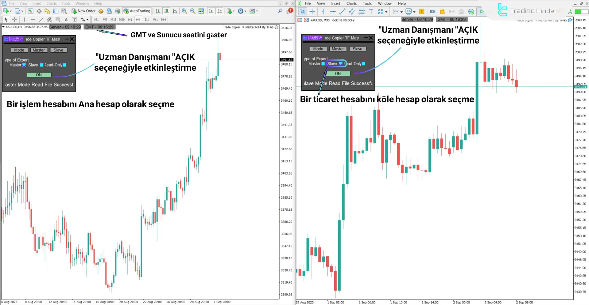 Trade Copier TF Master Expert Advisor seçeneğini etkinleştirme