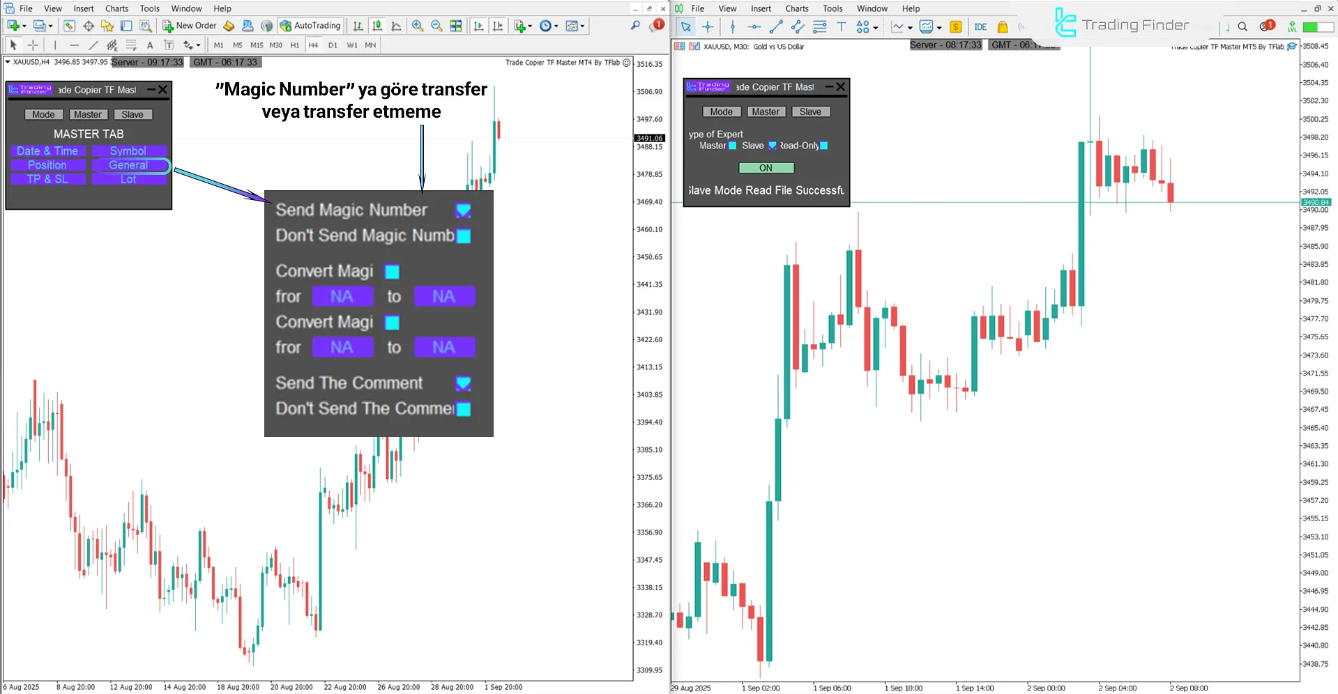 Trade Copier TF Master Expert Advisor’da Magic Number’a dayalı transfer
