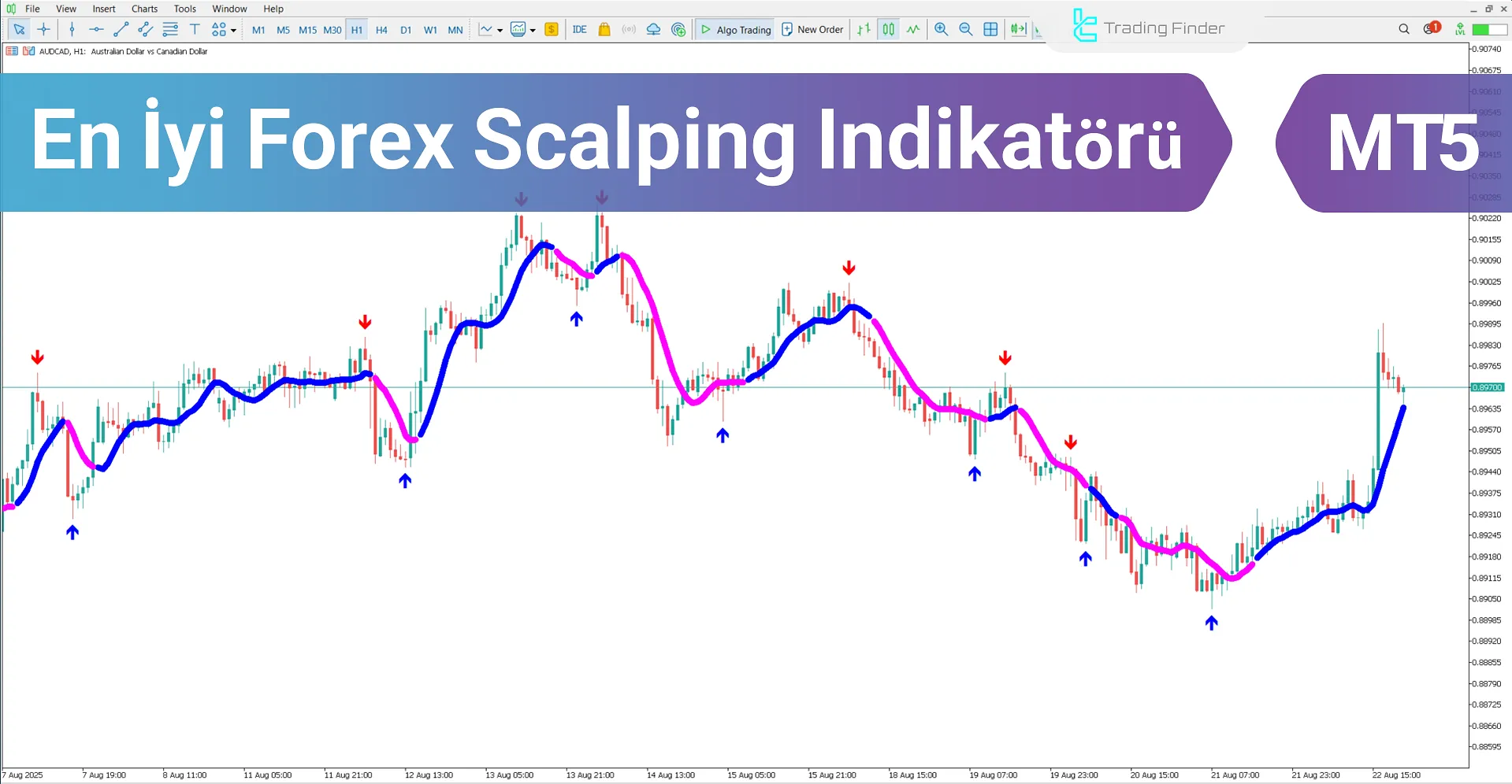En İyi Forex Scalping Indikatörü MetaTrader 5 – Ücretsiz İndir [TradingFinder]