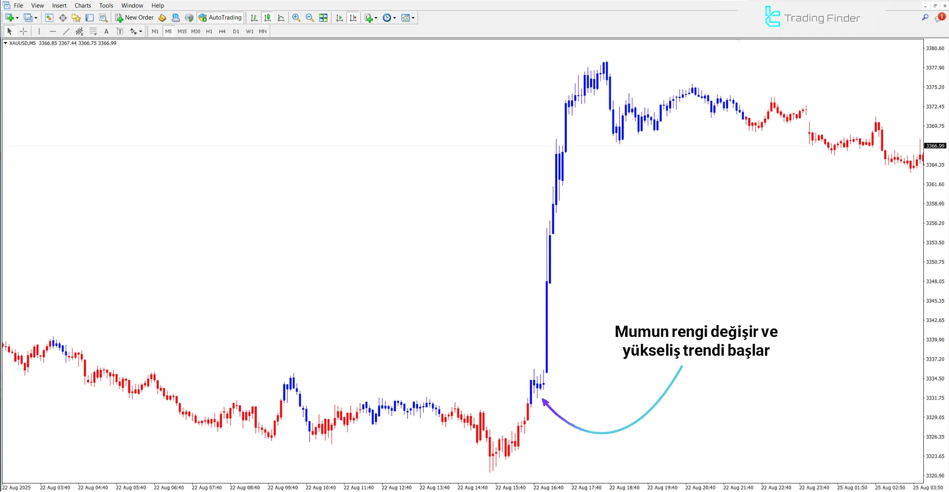 MACD Double Göstergesindeki yükseliş trendi analizi