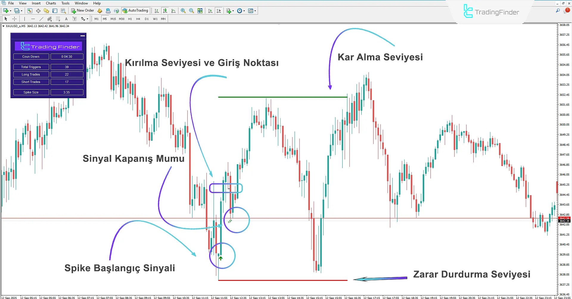 SP2L Poursamadi Strateji Göstergesi'nde Alım Sinyali