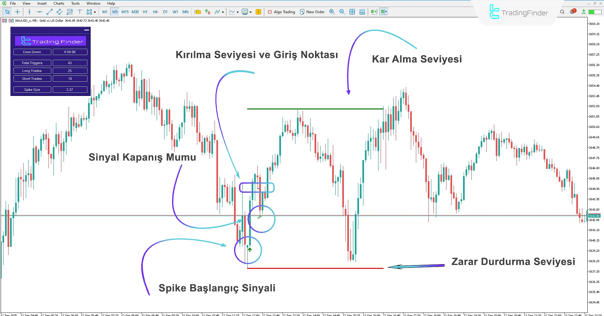 SP2L Poursamadi Strateji Göstergesi ile Tespit Edilen Yükseliş Hareketi