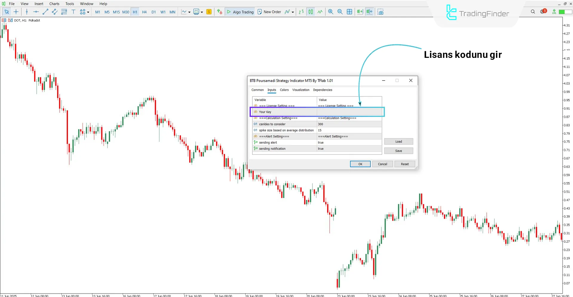 BTB Strateji Göstergesinde lisans kodunu girme