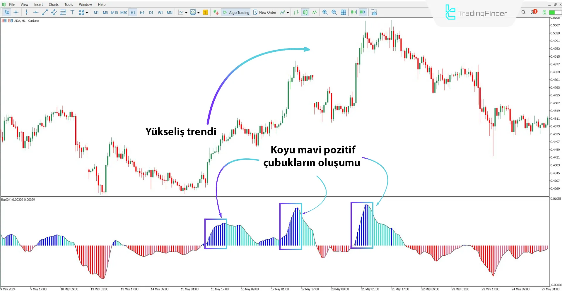 BSP Osilatörü ile boğa trendinin incelenmesi