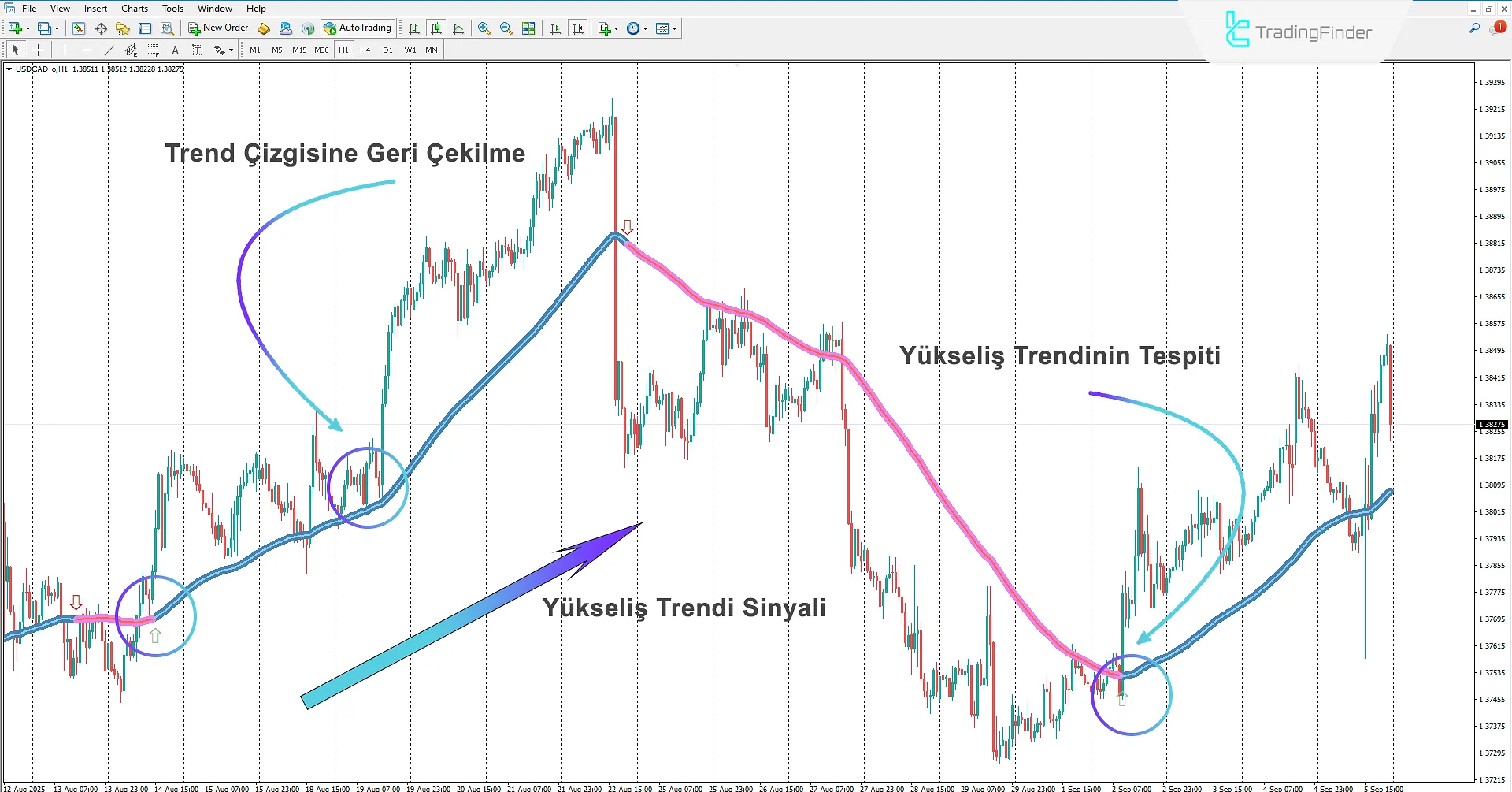 Trend Focus Göstergesi İndir MetaTrader 4'te - TradingFinder 1