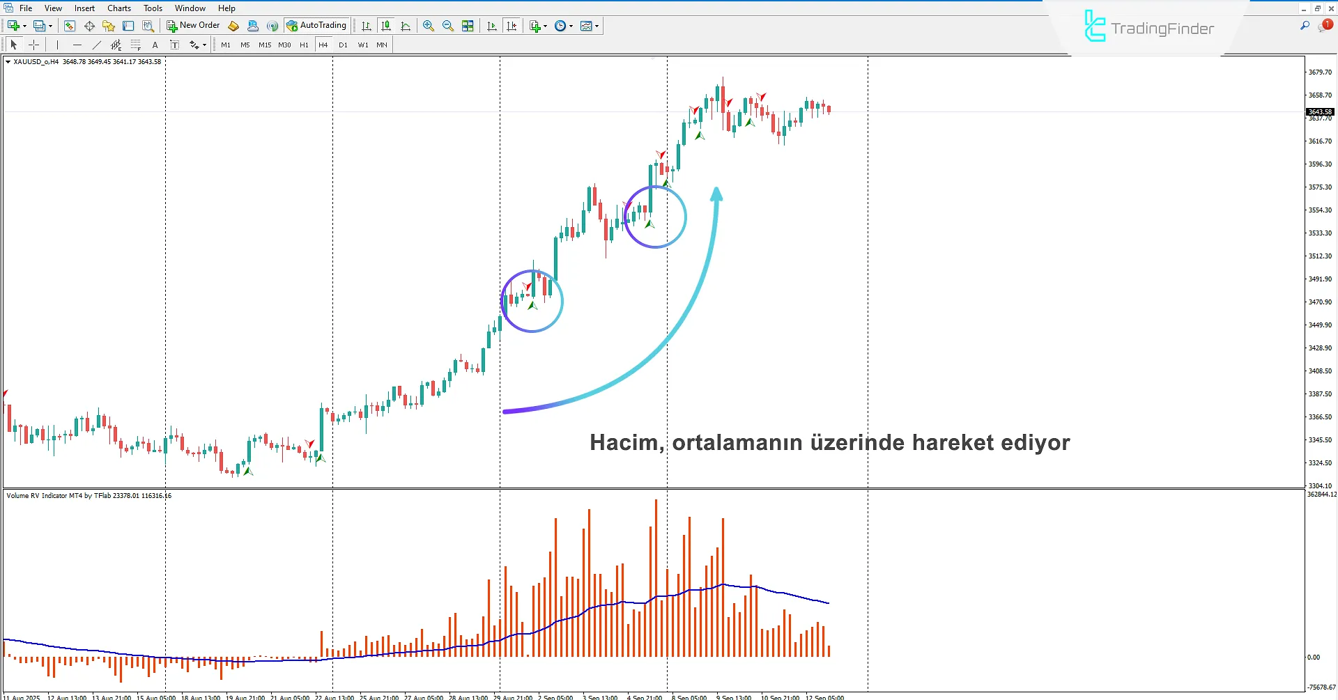 Hacim RV Göstergesi İndir MetaTrader 4 için - TradingFinder 1