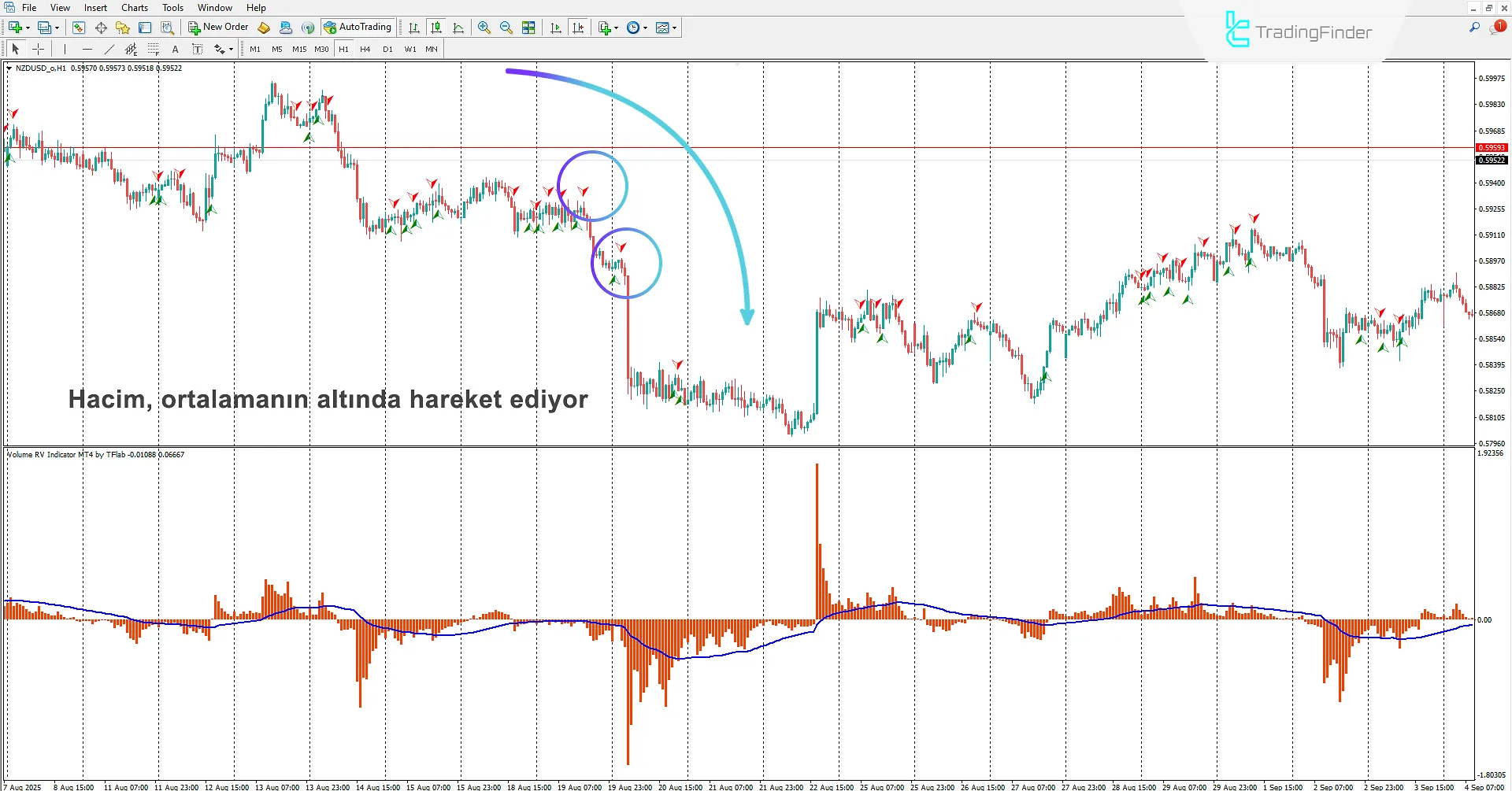 Hacim RV Göstergesi İndir MetaTrader 4 için - TradingFinder 2