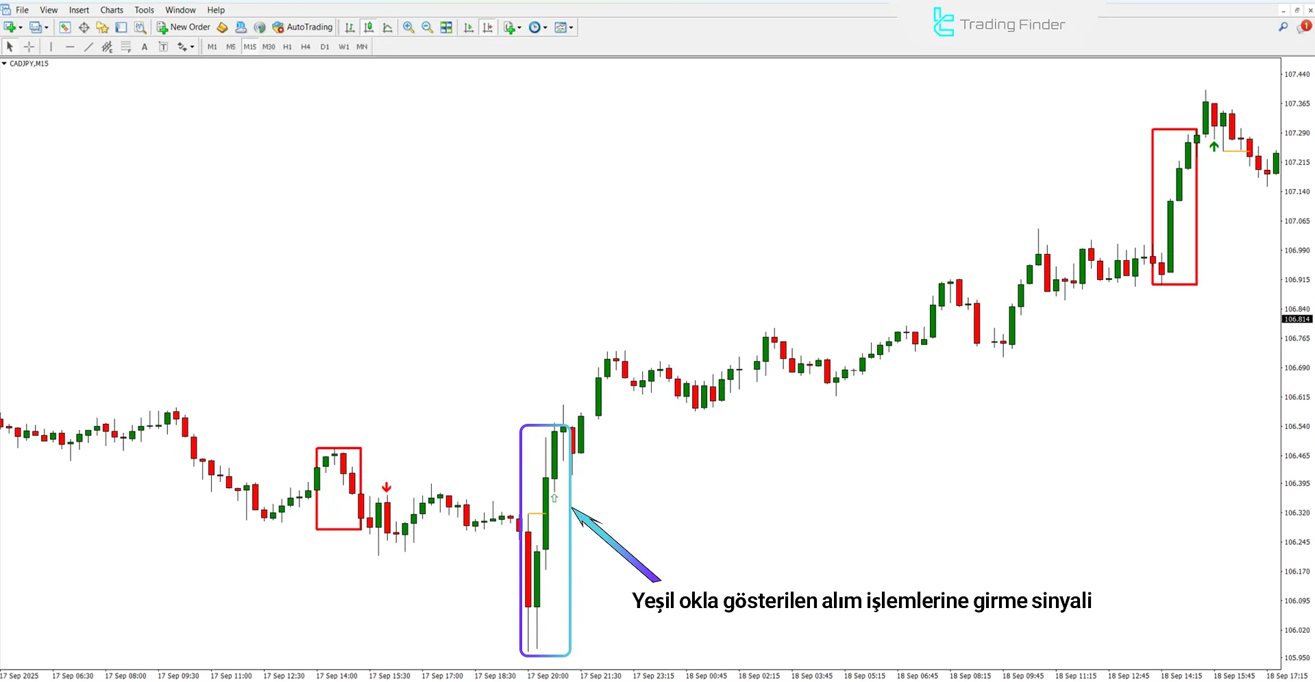 Venom ICT Model Göstergesinde yükseliş trendi analizi