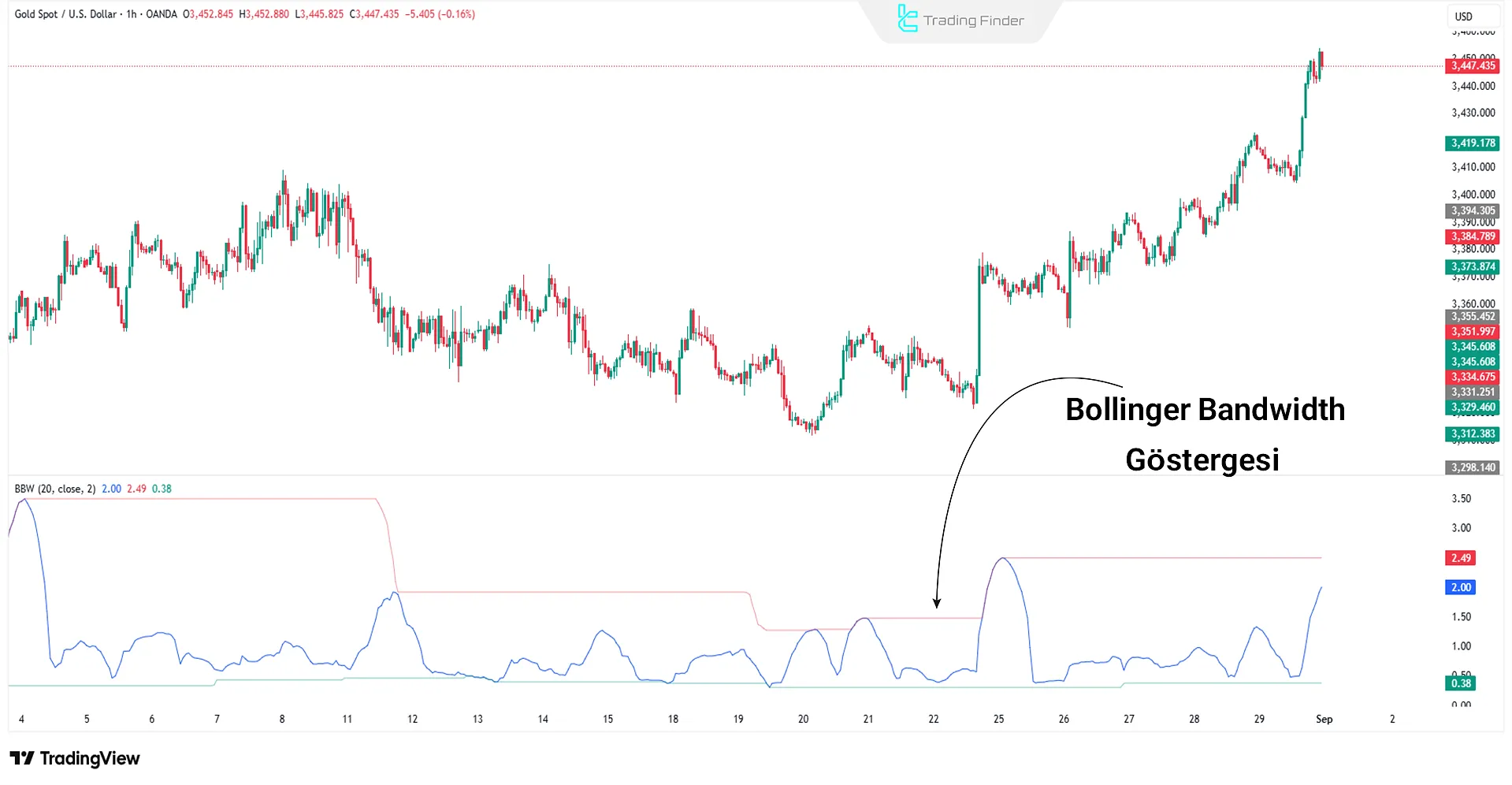 Bandwidth göstergesi