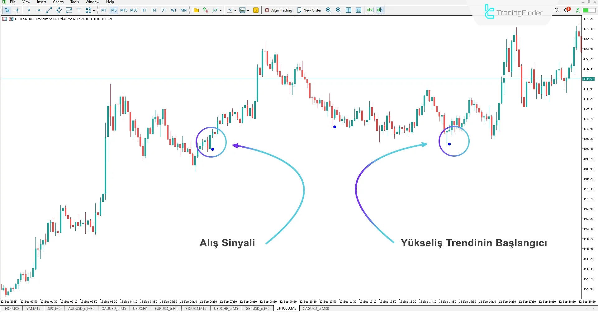 Leman Signal Göstergesi MetaTrader 5 İndir - TradingFinder 1