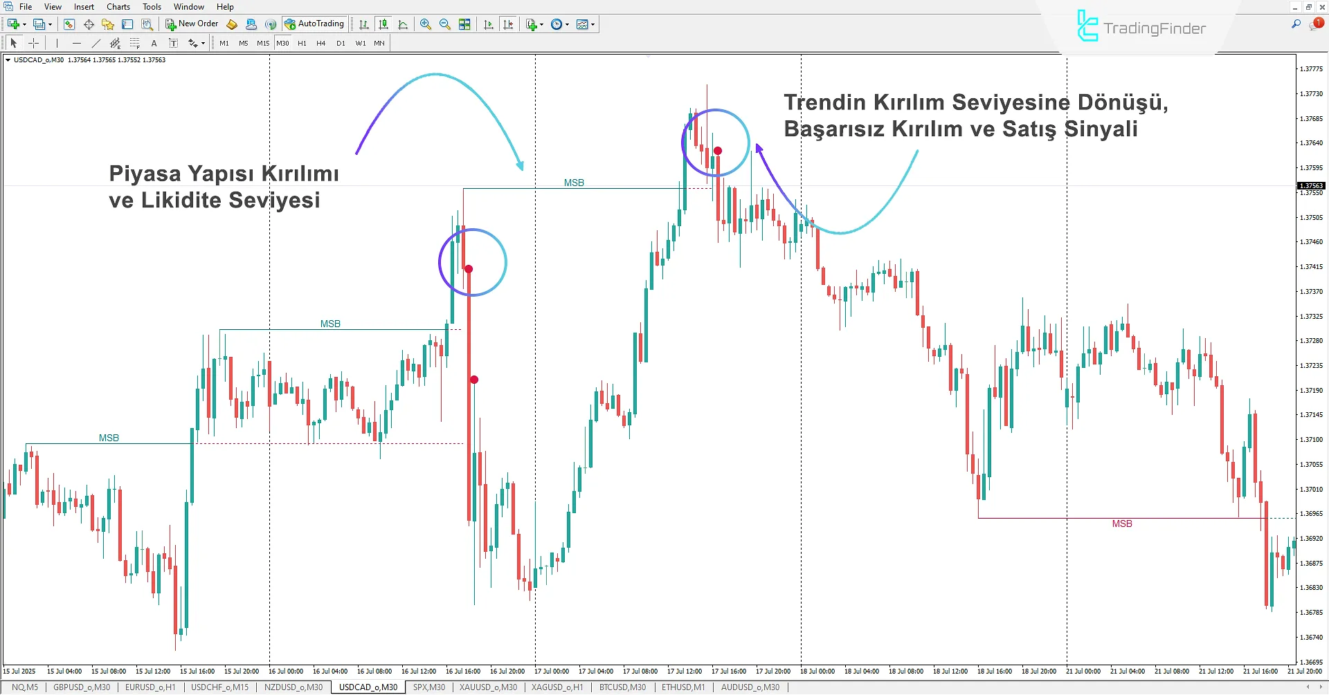 Buyside and Sellside Liquidity Göstergesinde Düşüş Senaryosu