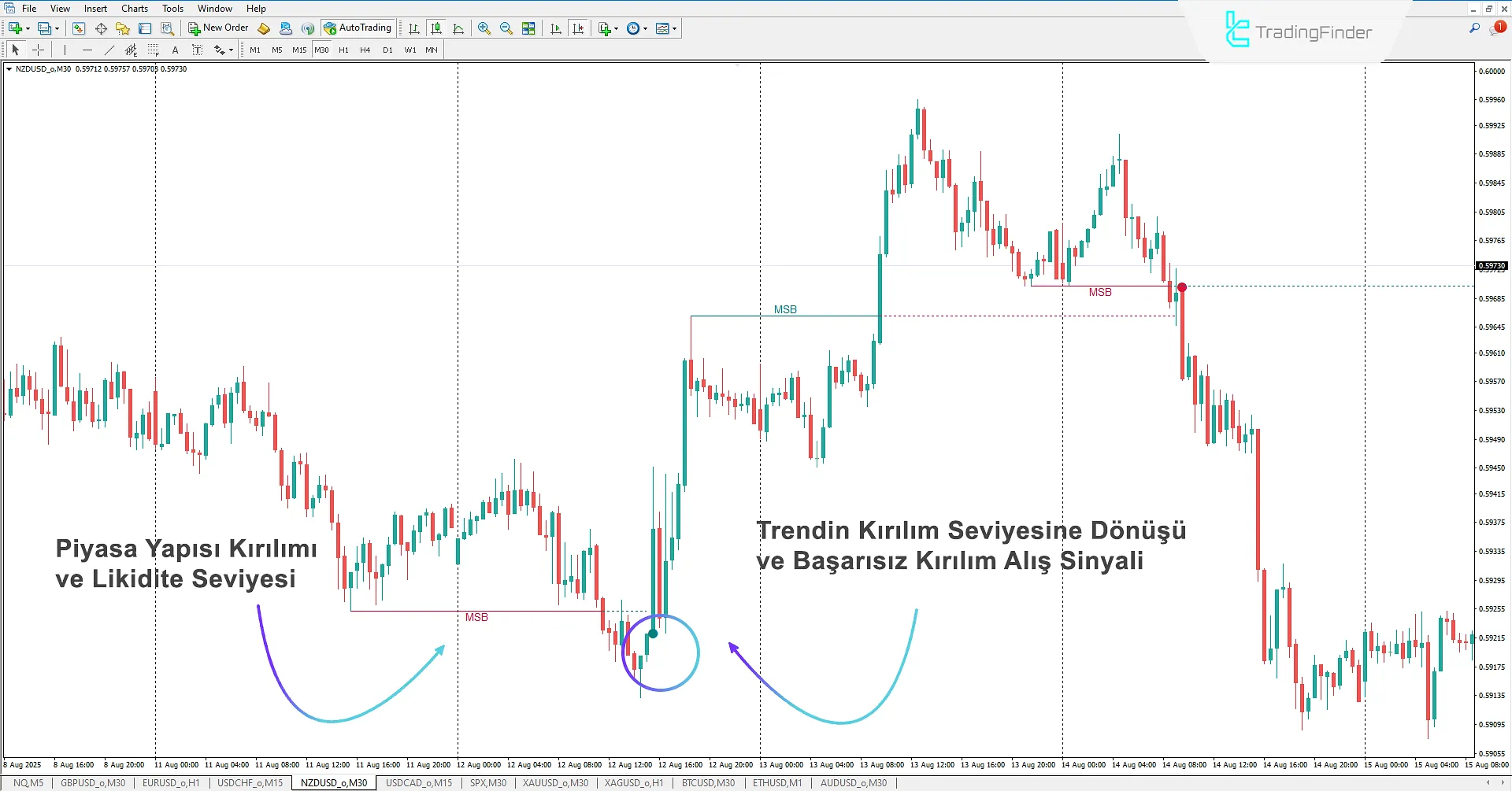 Buyside and Sellside Liquidity Göstergesinde Yükseliş Senaryosu