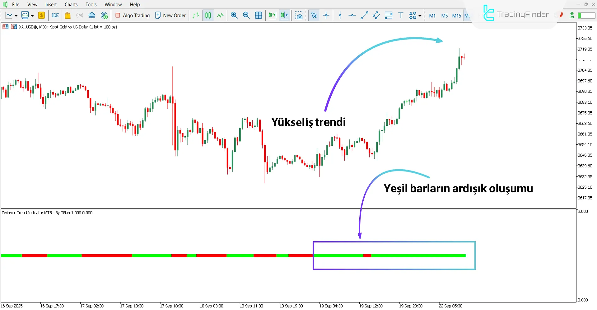 Zwinner Trend Osilatörü ile Yükseliş Trend Analizi