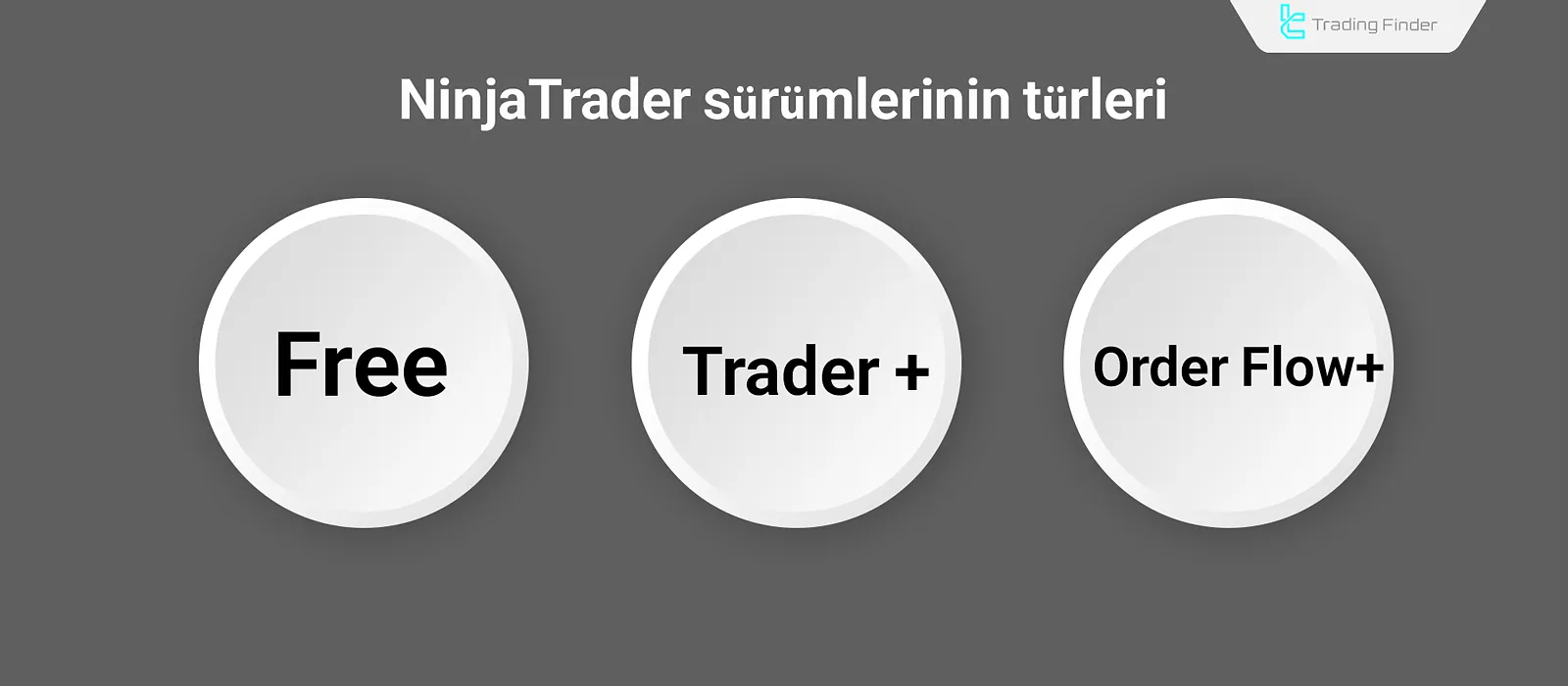 NinjaTrader sürümleri