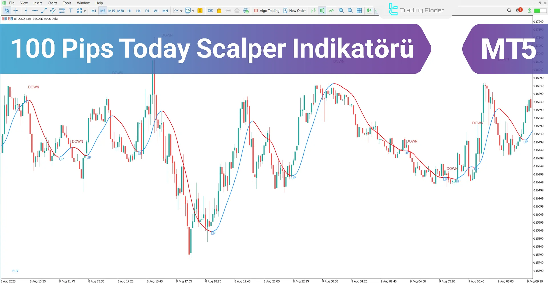 100 Pips Today Scalper Göstergesi MT5 için – Ücretsiz İndir [TradingFinder]