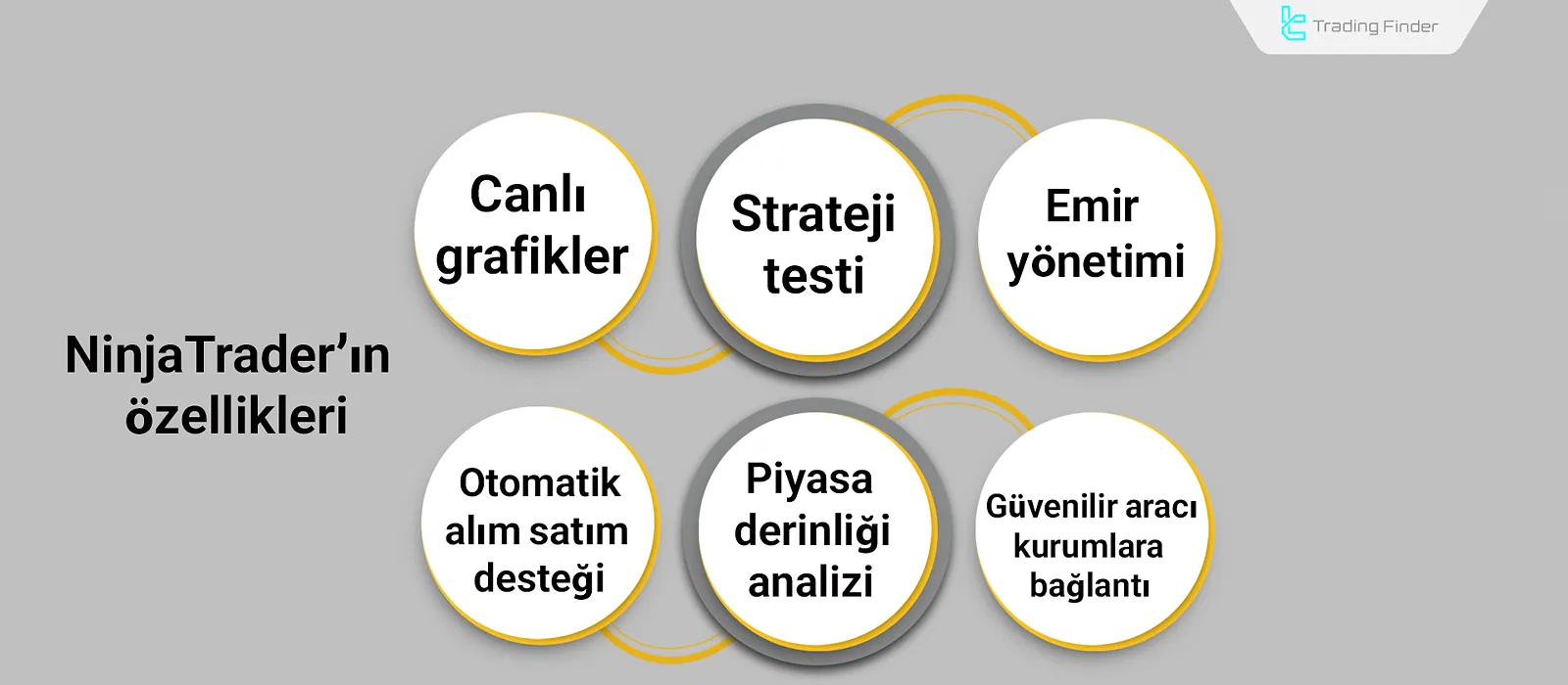 NinjaTrader Özellikleri