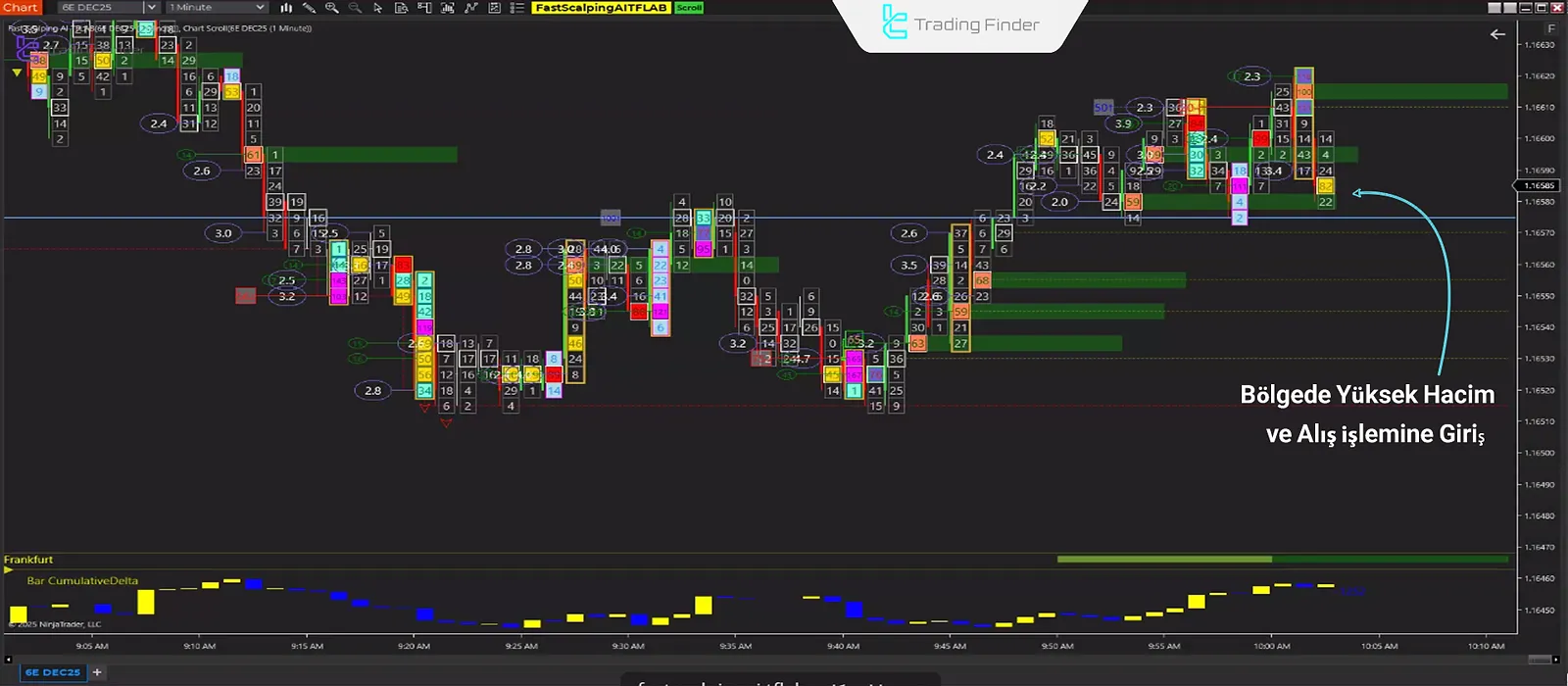 Alım Girişi Örneği