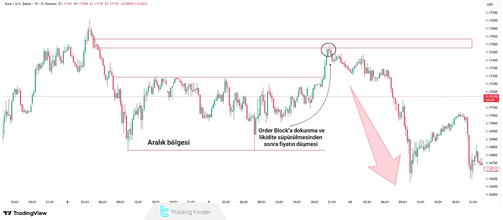 Turtle Soup Kurulumu