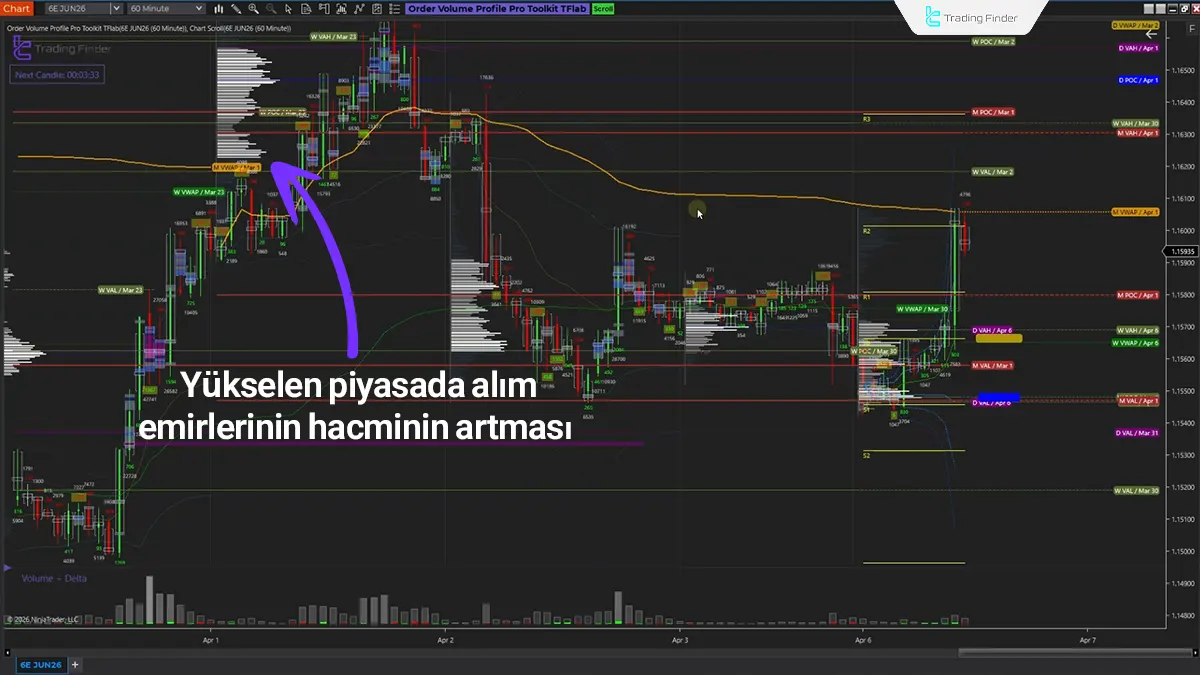 NinjaTrader 8'de Volume Profile Pro Göstergesi 2